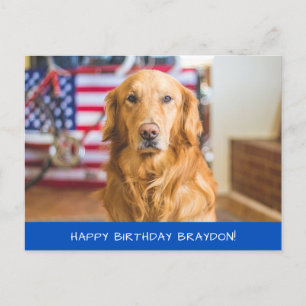 Cute Golden Retriever Dog Postcard