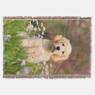 Cute Golden Retriever Dog Puppy, Cosy Blanket