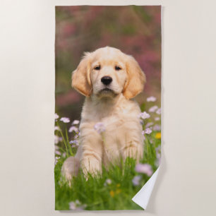 Cute Golden Retriever Dog Puppy Face Animal Photo Beach Towel