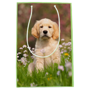 Cute Golden Retriever Dog Puppy Face Animal Photo Medium Gift Bag