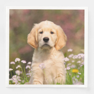 Cute Golden Retriever Dog Puppy Face Animal Photo Napkin