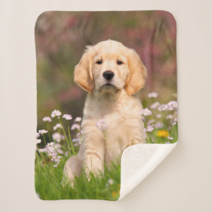 Cute Golden Retriever Dog Puppy Face Animal Photo Sherpa Blanket