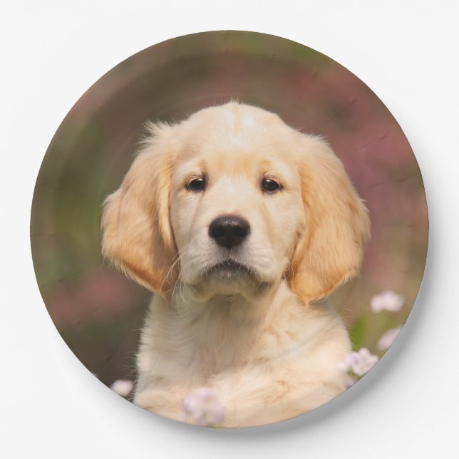Cute Golden Retriever Dog Puppy, Happy Party Paper Plate (Front)
