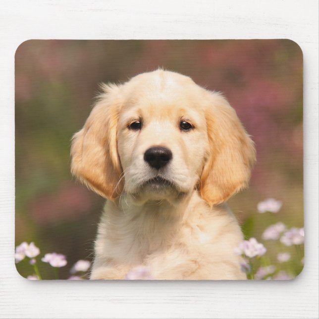 Cute Golden Retriever Dog Puppy Portrait, Mouse Mat (Front)