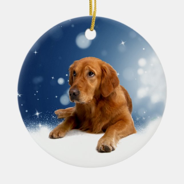 Cute Golden Retriever Dog Sitting in Snow Stars Christmas Ornament (Front)