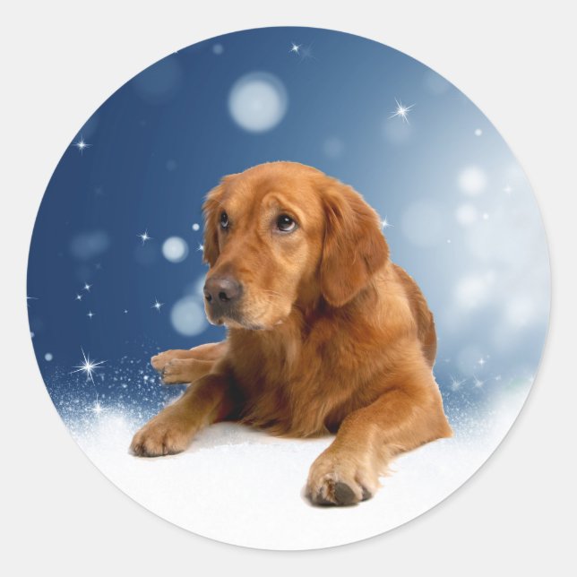 Cute Golden Retriever Dog Sitting in Snow Stars Classic Round Sticker (Front)