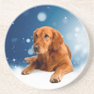 Cute Golden Retriever Dog Sitting in Snow Stars Coaster