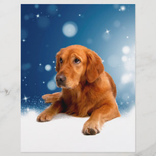 Cute Golden Retriever Dog Sitting in Snow Stars Customized Letterhead