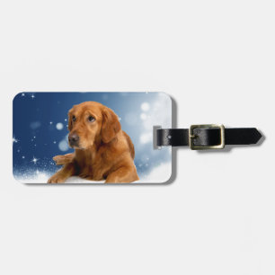 Cute Golden Retriever Dog Sitting in Snow Stars Luggage Tag