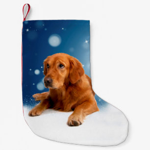 Cute Golden Retriever Dog Sitting in Snow Stars Small Christmas Stocking