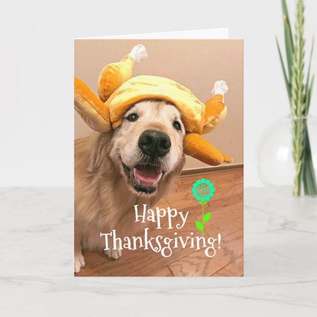 Cute Golden Retriever in Turkey Hat Thanksgiving Holiday Card (Front)