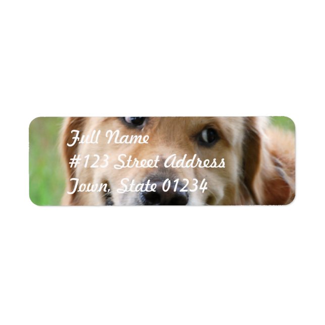 Cute Golden Retriever Mailing Labels (Front)