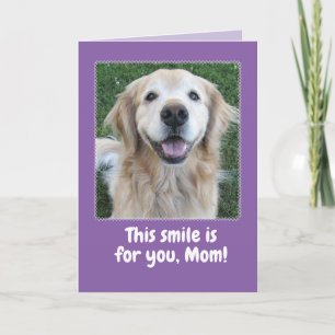Cute Golden Retriever Mother's Day Card