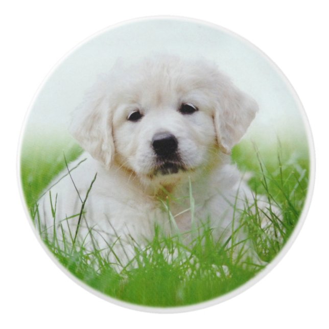 Cute Golden Retriever Puppy Dog Green Grass Ceramic Knob (Front)