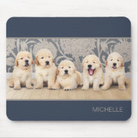 Cute Golden Retriever Puppy Dog Personalised Name