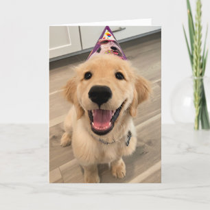 Cute Golden Retriever Puppy Dog with Birthday Hat Card