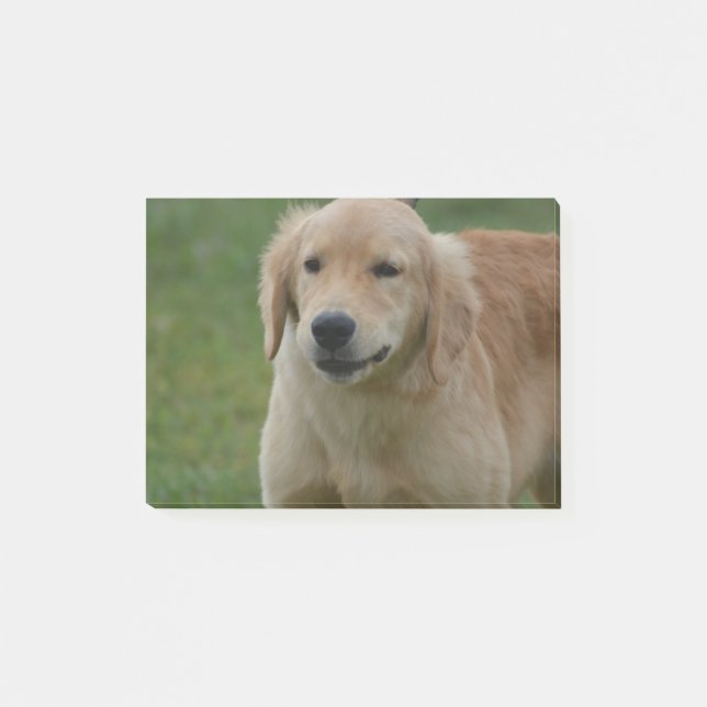 Cute Golden Retriever Puppy Post-it Notes (Front)