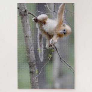 Cute Golden Snub-nosed Monkey on Tree Branches Jigsaw Puzzle