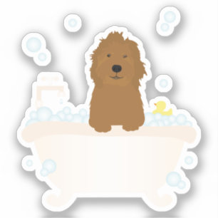 Cute Goldendoodle Bubble Bath