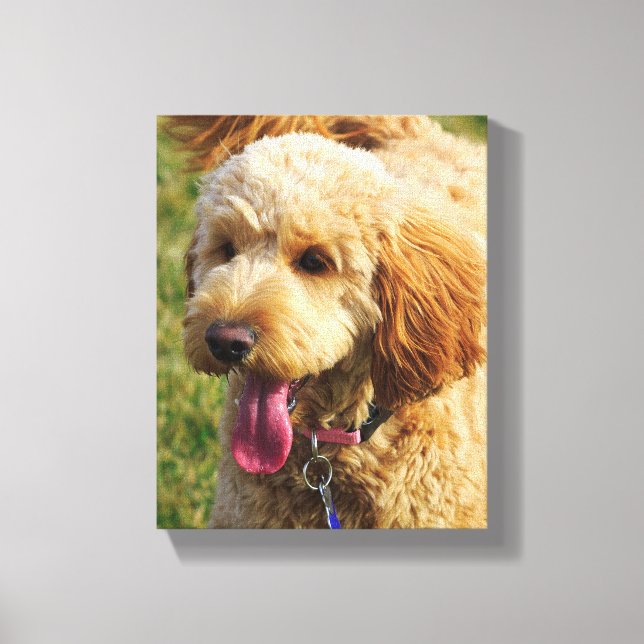 Cute Goldendoodle Dog Canvas Print (Front)