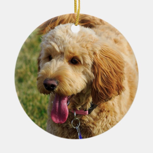Cute Goldendoodle Dog Ceramic Tree Decoration (Front)