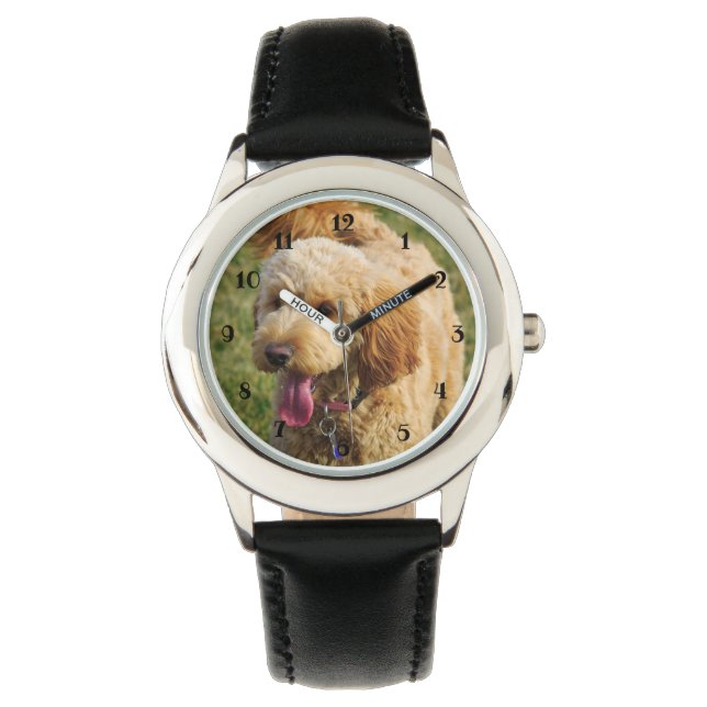 Cute Goldendoodle Dog Watch (Front)