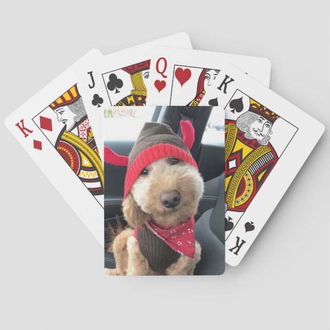 Cute Goldendoodle in His Christmas Outfit Playing Cards (Back)