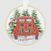 Cute Goldendoodles Vintage Red Truck