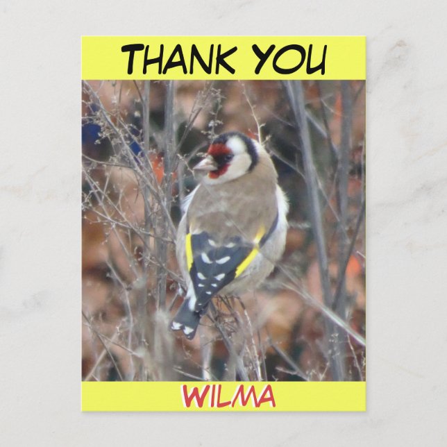 Cute Goldfinch Cust. Text THANK YOU Postcard (Front)
