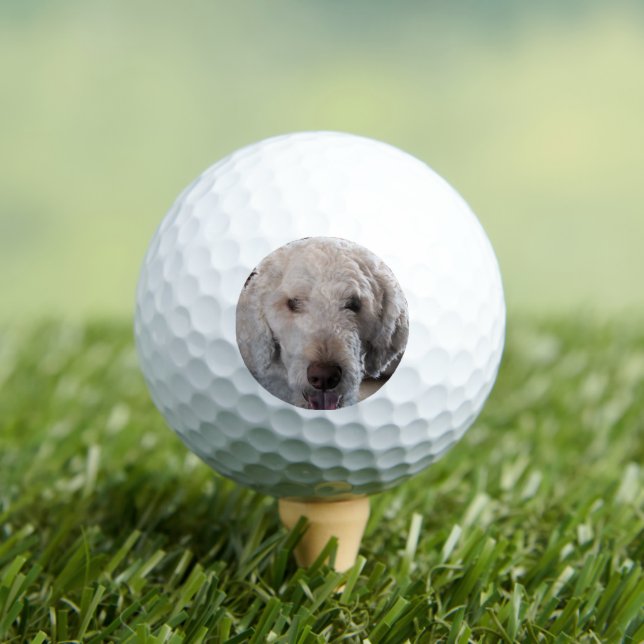 Cute   golf balls (Insitu Tee)