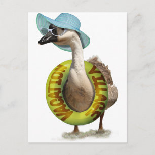 Cute Goose with Summer Hat & Sunglasses Postcard