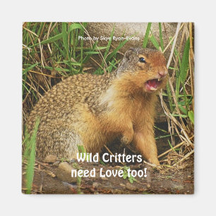 Cute Gopher Prairie-dogs Wildlife Magnets