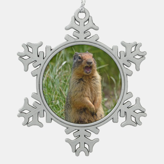 Cute gopher snowflake pewter christmas ornament (Front)
