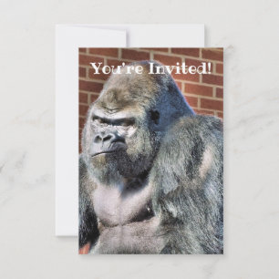 CUTE GORILLA ANNOUNCEMENT