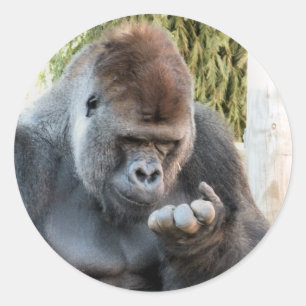 CUTE GORILLA CLASSIC ROUND STICKER