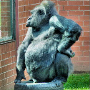 CUTE GORILLA CLIPBOARD