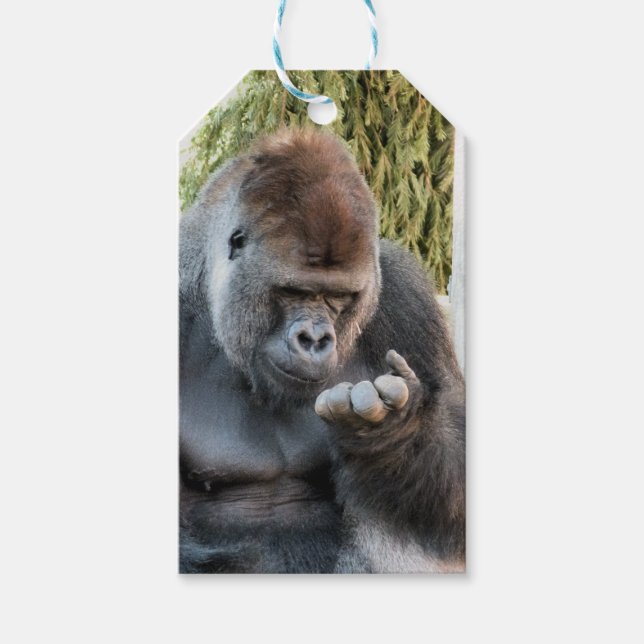 CUTE GORILLA GIFT TAGS (Front)