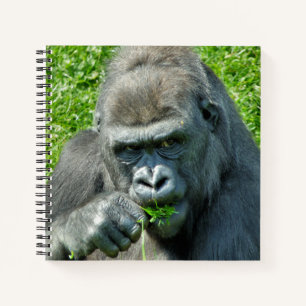 CUTE GORILLA NOTEBOOK
