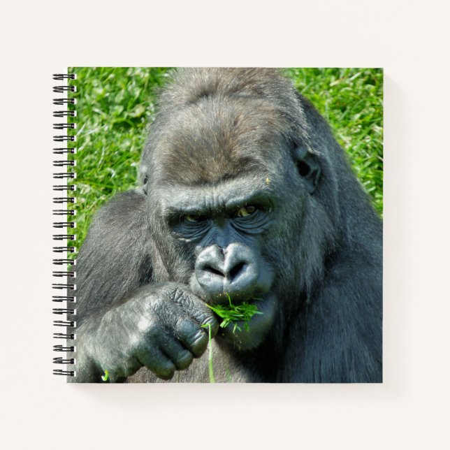 CUTE GORILLA NOTEBOOK (Front)