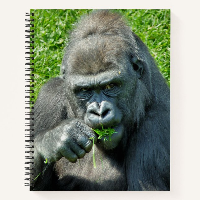 CUTE GORILLA NOTEBOOK (Front)