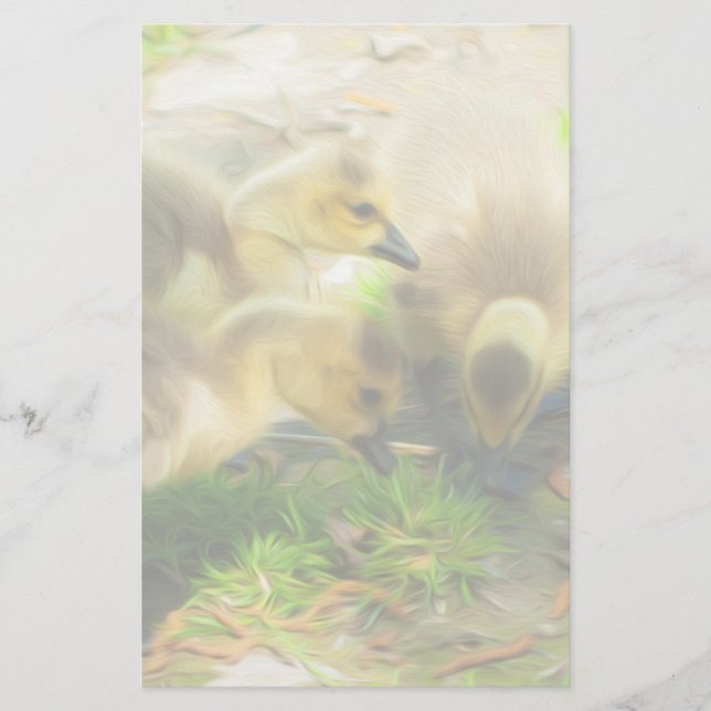 Cute Gosling (Front)