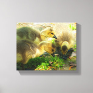 Cute Gosling Canvas Print