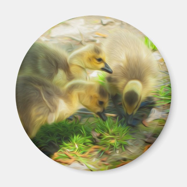 Cute Gosling Magnet (Front)