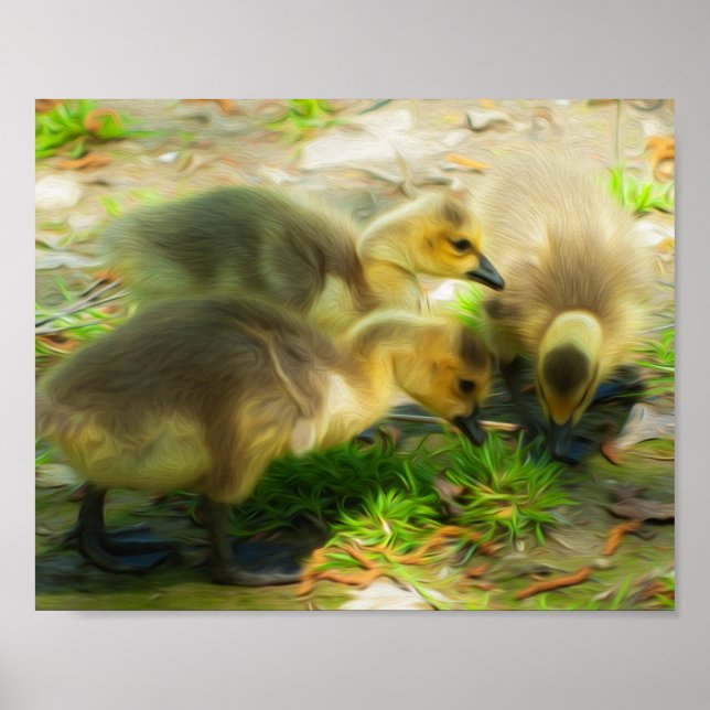 Cute Gosling Poster (Front)