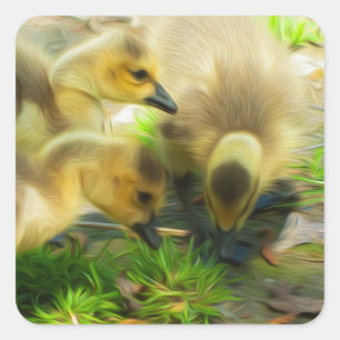 Cute Gosling Square Sticker