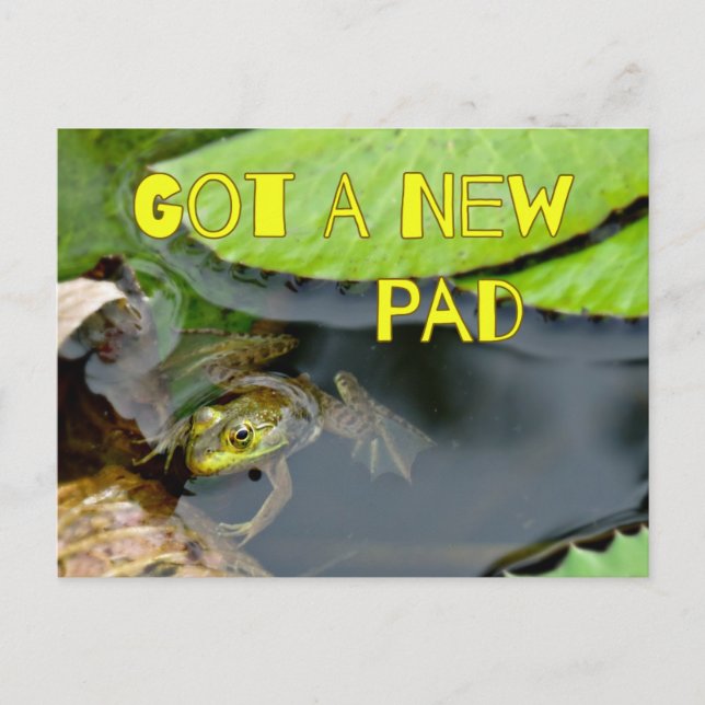 Cute Got A New Pad Frog Change of Address Postcard (Front)