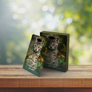 Cute Graduating Kitten Playing Cards