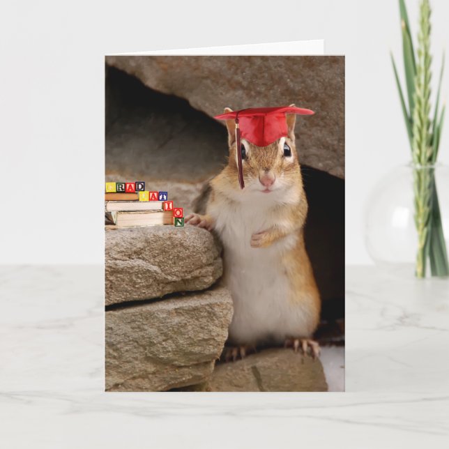 Cute Graduation Chipmunk Greeting Card (Front)