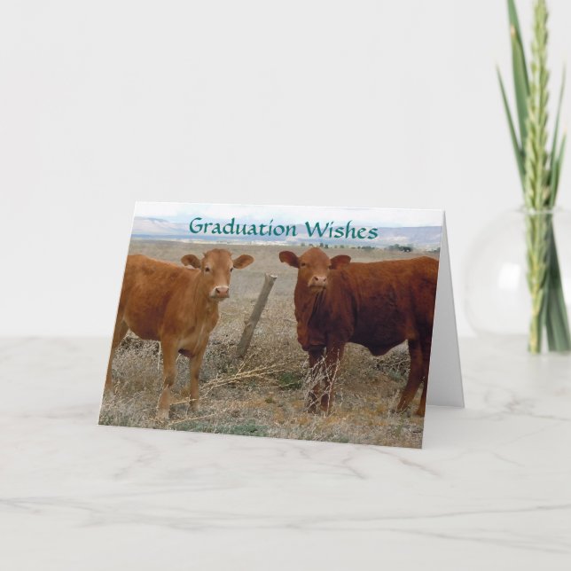 Cute Graduation - Red Cow Animal Humour - Ranch Card (Front)