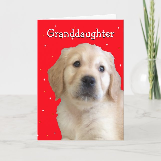 Cute Granddaughter Christmas Card (Front)